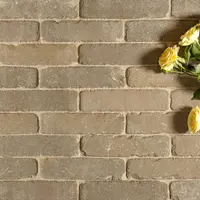 Antique Brown Clay Pavers