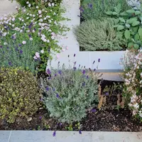 Contemporary Grey Sawn Sandstone Pencil Round Coping Stones