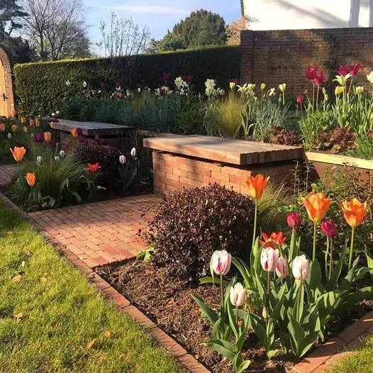 Square of Seville clay pavers with wood-topped bench built of matching bricks sits between 2 flower beds with tulips.