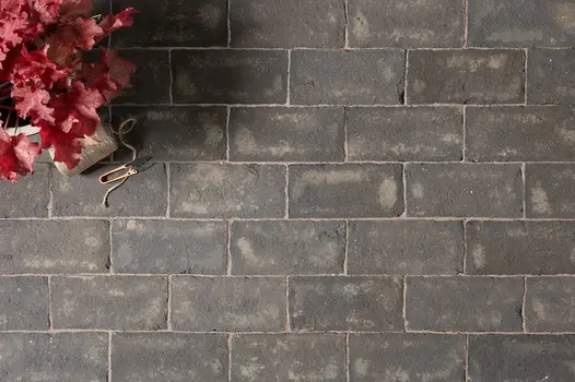 View down onto Durham Belgian bricks laid with sanded joints in running bond pattern, with heuchera. Free UK delivery available.