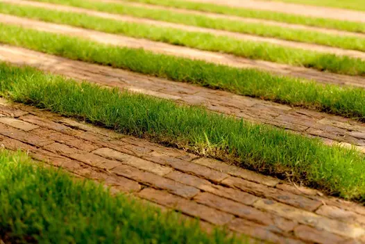 Strips of grass separate 6 strips of Cotswold Blend clay paver bricks, with picture blurring into distance. Design by OK Lister