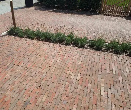Seville clay pavers laid as front drive divided into 2 parts by long narrow rectangular lavender bed. 