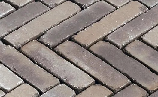 Close-up of wet Verona Dutch clay pavers laid herringbone, showing buff, grey and light red colours. Free UK delivery available.