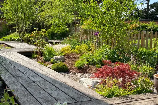 Zigzag boardwalk of Driftwood Millboard decking passes gravel-mulched bed with low shrubs and picket fence. Design by Bushy Business.
