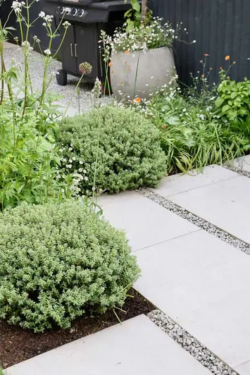 Corner shot of planted bushes with Florence Beige Porcelain Paving and pebbles used for grout gaps, planter and barbeque in background.