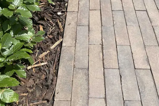 Chelsea clay pavers laid by Garden Design Company, next to bark mulch to bed with beech hedging, at Gardeners World Live 2022.