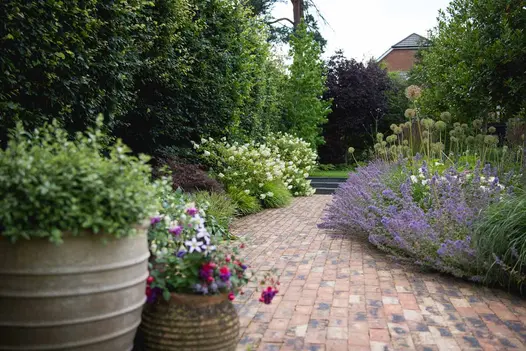 Cotswold Belgian bricks laid face-on as curve-edged path, leading to 3 steps up to lawn, between lushly flowering beds. 