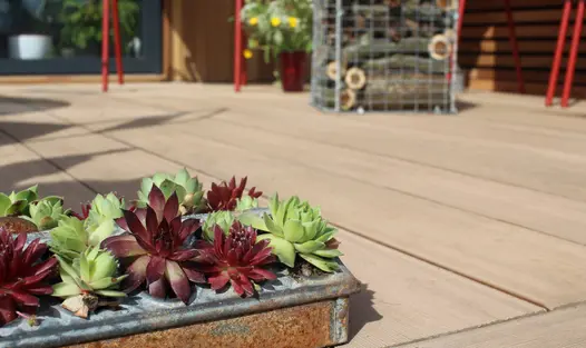 Succulent plants in metal planter sit on mocha designboard composite decking with out of focus log store in the background.
