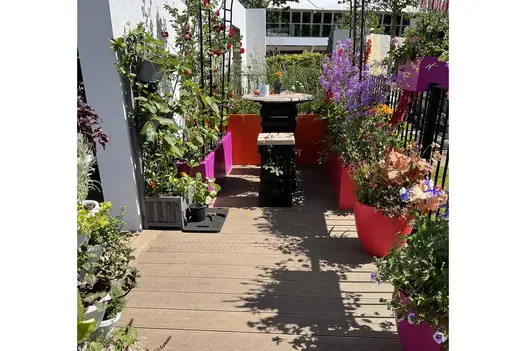 Cirrus Garden, RHS Chelsea 2022, with Warm Teak Decking Boards, bright planters and iron railings. Built by Big Fish Landscapes.