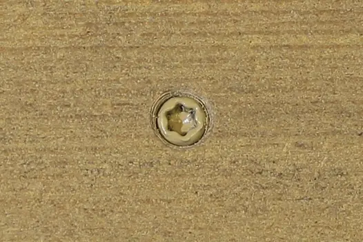 Amber composite decking board with Amber colour match screw fixed to the middle of the board. 