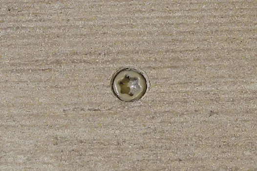 Cinnamon composite decking board with Cinnamon colour match screw fixed to the middle of the board.
