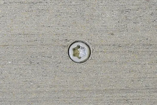 Luna composite decking board with Luna colour match screw fixed to the middle of the board. 
