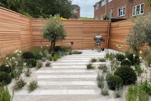 Alternating strips of Contemporary Grey Sawn Sandstone slabs and matching gravel lead past planting and olive trees to barbecue.