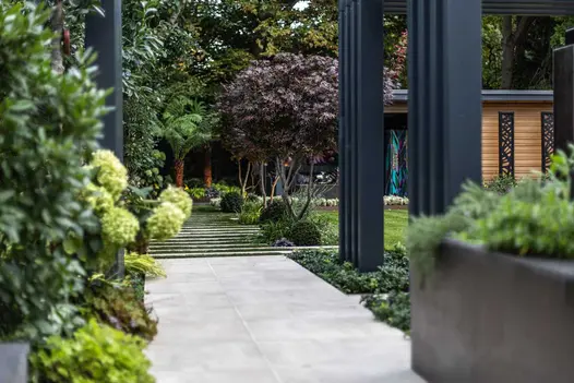 View past black legs of pergola to wide striped path of Cream porcelain paving and grass to tree ferns next to garden studio.
