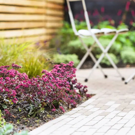 Pink-flowered sedum in corner of bed next to Stone Grey clay pavers mixed with Westminster. Design by Cultivate Gardens.