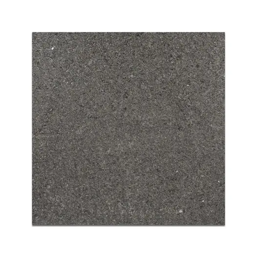 Single 600x600mm Dark Grey Granite paving slab, seen from above, showing black-flecked colouring. Free UK delivery available.