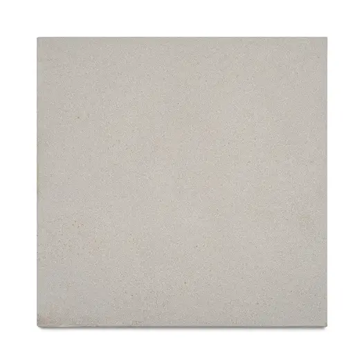 Single Dove Grey sandstone plank paving piece viewed from above, showing consistent tone and fine-grain texture.