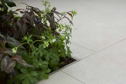 Egyptian Beige Porcelain tiles installed around planted border, offering a smooth, neutral contrast to rich green foliage.