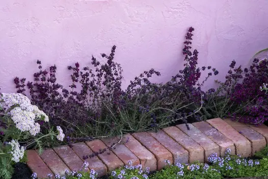 Seville brick pavers laid in soldier course without joints as raised edge to very narrow bed against white wall.