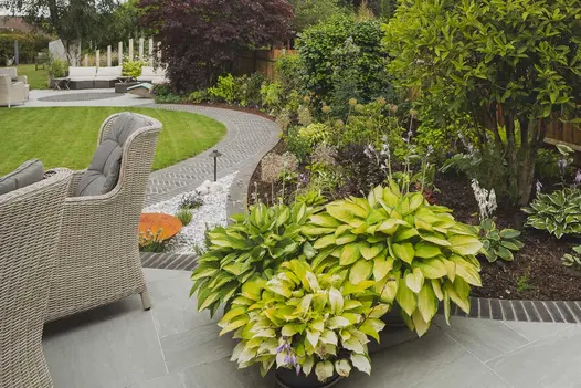 Lots of green planting next to Kandla Grey Porcelain Paving used alongside grey clay pavers with seating area in the background.
