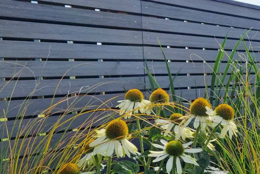 Wildflowers bloom with colours of yellows, greens and whites, next to dark shades of pebble grey composite battens.