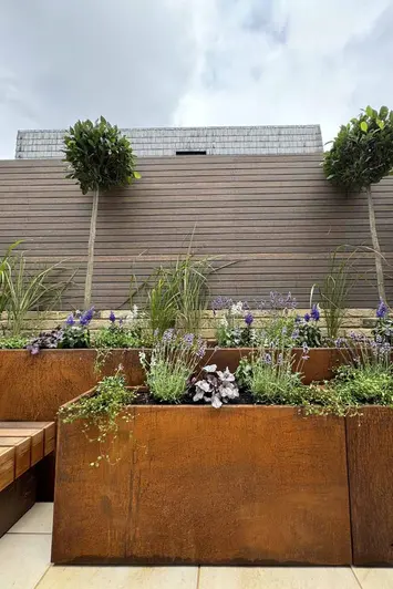 Enclosing the garden are chestnut composite battens with steel corten planters and seating area on porcelain paving.