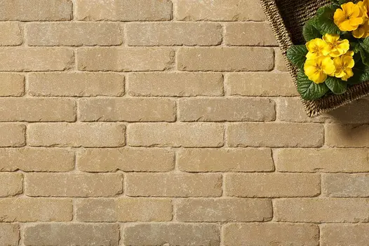 Overhead view of Golden Buff Clay Pavers in stretcher bond layout with soft, sun-warmed tones.