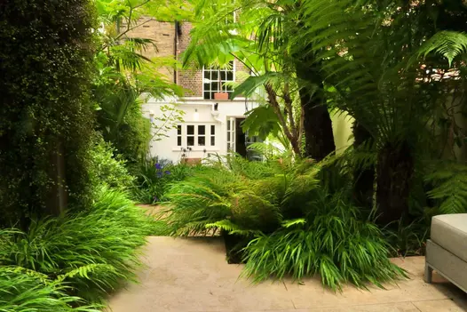 Urban Paradise create tropical style garden, lots of leafy greens amidst Golden Stone Porcelain patio leading to the property.