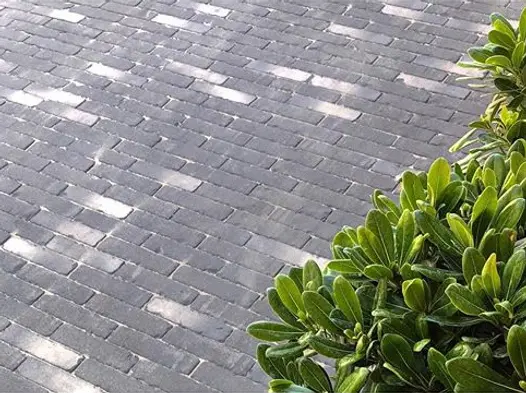 Silver Grey Multi Clay Pavers laid running bond, white bricks spaced through paving. Laurel bush to right. Built by GRDN Design.