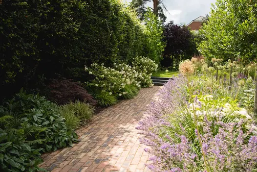 Wide path of Cotswold blend clay pavers laid between deep, flowering borders, leads to 3 steps up to small grassy area. 
