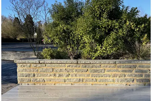Low block of grey sandstone garden walling, capped with coping. Large shrub stands on other side. Free UK delivery available.