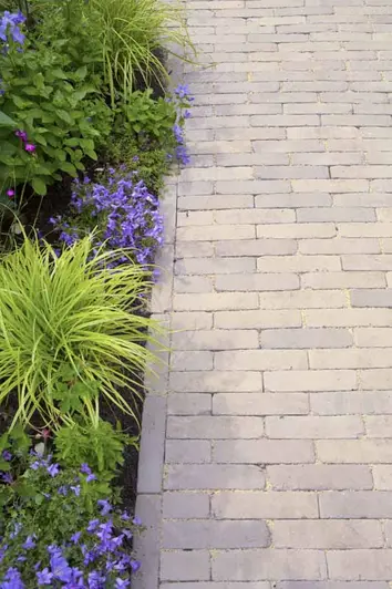 Gromo Antica Dutch Clay Pavers lead up as a pathway showing off colour variation, framed by lush greenery.