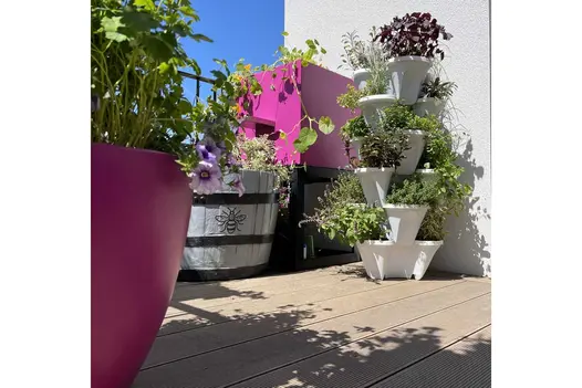 Bright trough planters edge Warm Teak Grooved DesignBoard decking in Balcony Garden, RHS Chelsea 2022. Design by Jason Williams.