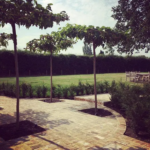 Curved row of london mixture clay paver bricks encloses patio of the belgian bricks, with trees planted in-between.