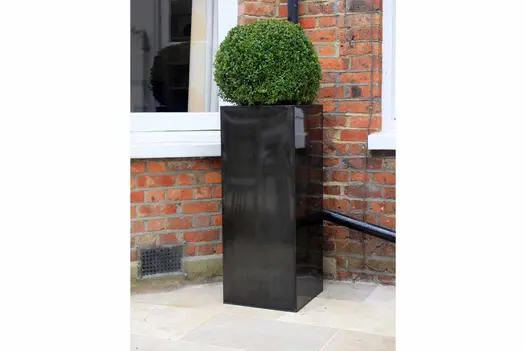 Topiary ball in tall black cube planter in angle of house wall and bay window sits on Jura Beige limestone sawn paving slabs.