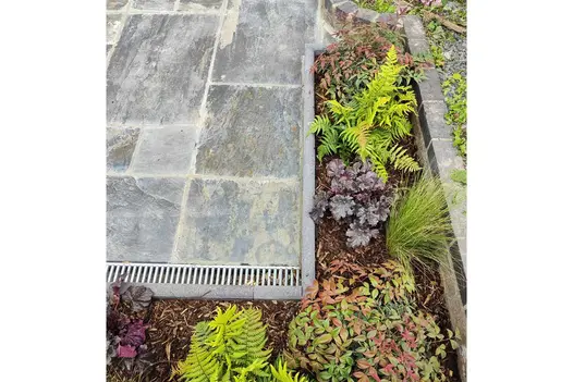 Corner of Rustic Slate paving with channel drain, edged on 2 sides by narrow planted border. Design by Katerina Kantalis.
