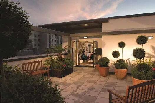 Rear of single storey building, with french doors open from living space onto large Kota Blue limestone patio with topiary in pots.