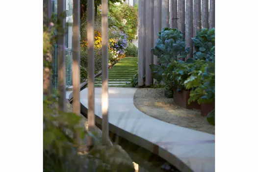 Curved path of large Britannia Buff Yorkstone paving slabs leads past shrubs to lawn with herbaceous border. Built by Landform.