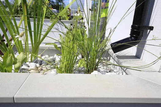 Drainpipe positioned over trough filled with white pebbles and planted with grasses, with Flamed Grey sandstone coping edges.