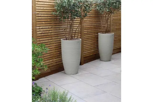 2 tall slender white pots with multi-stemmed trees stand on Jura Grey porcelain paving next to slatted wood fence.