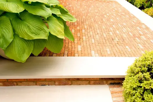 Close up of Faro Porcelain 40mm Downstand Steps leading to clay paver patio with large, green leafy plants on either side.