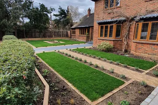 Path of London Mixture Clay Pavers runs between lavender beds, dividing front lawn. Grass and beds edged with single row of bricks.