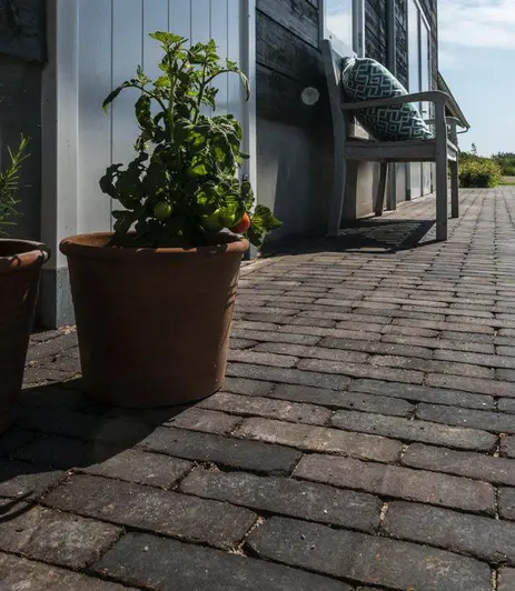Tomato plant in terracotta pot sits on Moderna clay paving next to grey building with bench along wall.