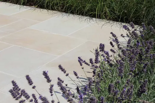 Corner of Multi Mint smooth sandstone paved area, planted beds on each side, purple-headed lavender plants in foreground.