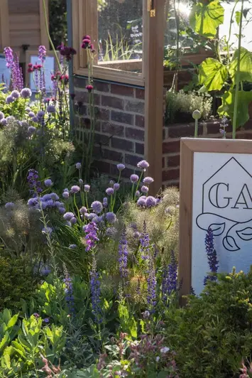 View through purple flowers show Old English Facing Bricks to create building at RHS Chelsea Flower show 2024.