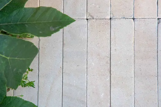 Close-up of Harvest Sandstone pavers showing its warm pastel colours and sawn and tumbled surface next to leafy green plant.