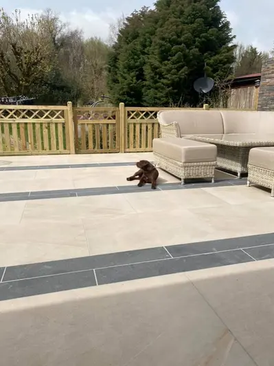 A Chocolate Labrador peacefully lounging on Platinum Grey Porcelain Planks, gracefully combined with light-coloured porcelain paving.