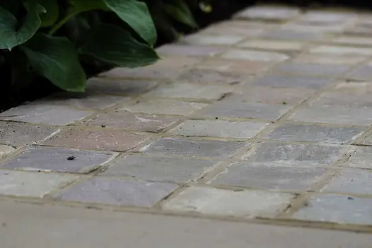 Green leaf casts shadow on 100x100mm Raj Green sandstone setts laid in chequerboard pattern. Design by Richard Rogers.