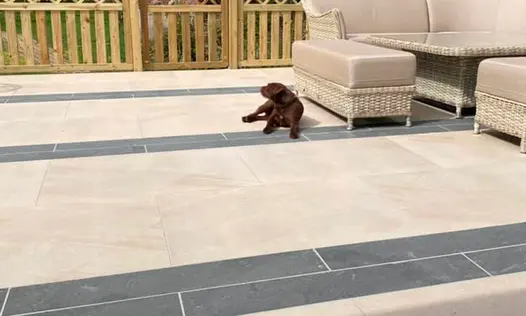 Chocolate Labrador rest on Platinum Grey Porcelain Planks, used with light coloured porcelain paving.