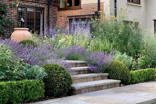 4 Tumbled Black Sandstone Rock-Faced Steps lead up to house through lush planting including lavender, huge terracotta pot sits at the top.